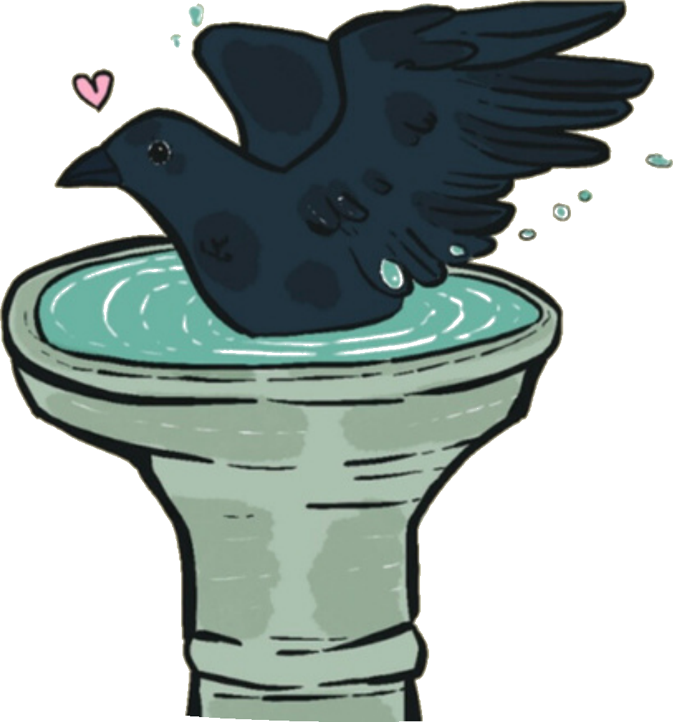 Bird Bath Designs logo