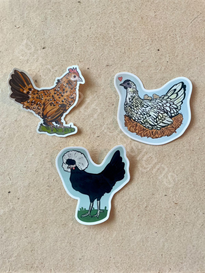 Chicken stickers
