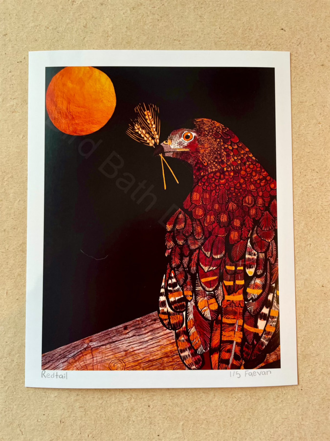 Redtail print